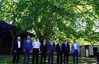 Vali Kaymak tarihi camideki restorasyon çalışmalarını inceledi