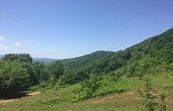 Zonguldak'ta kayıp kişi aranıyor