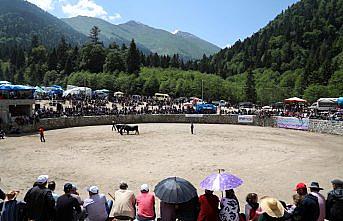 25. Çamlıhemşin Ayder Kültür, Sanat ve Doğa Festivali