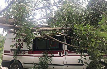 Ağacın üzerine düştüğü ambulansta hasar oluştu