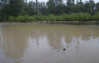 Amasya ve Çorum'da şiddetli yağış