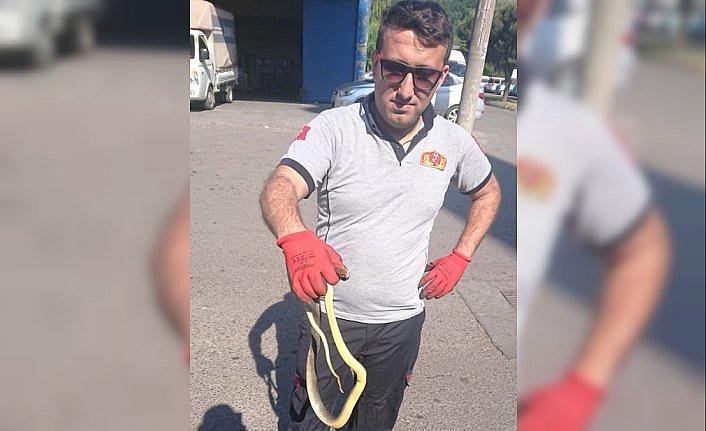 Aracın motoruna giren yılanı itfaiye çıkardı
