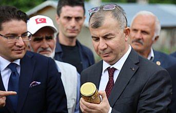 Bal üreticileri Kafkas ırkı arılarını tanıttı