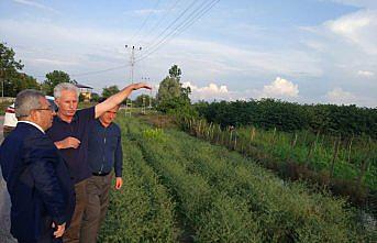 Çarşamba'da hasar tespit çalışmaları başladı