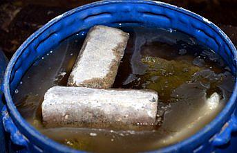 Coğrafi işaretli Erbaa yaprağında hasat zamanı