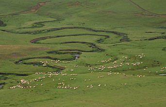Doğa harikası menderesler ziyaretçilerini ağırlıyor