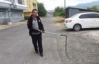 Elektrik trafosuna giren yılanı itfaiye çıkardı