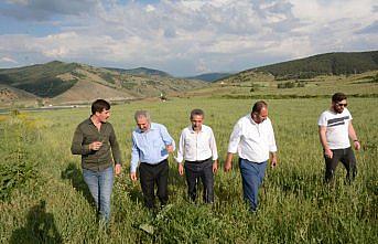 Erdoğdu, Satala Antik Kenti'nde incelemelerde bulundu