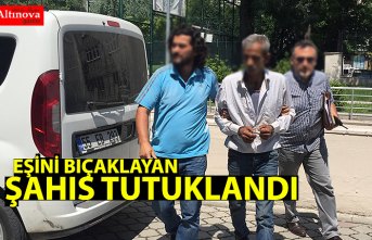 Eşini bıçaklayan kişi tutuklandı