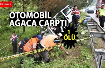 Hafif ticari araç ağaca çarptı: 1 ölü, 1 yaralı