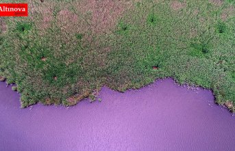 İğneada Longoz Ormanları'nda görsel şölen