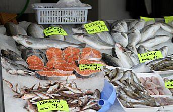 Kıyı balıkçıları umduğunu bulamadı