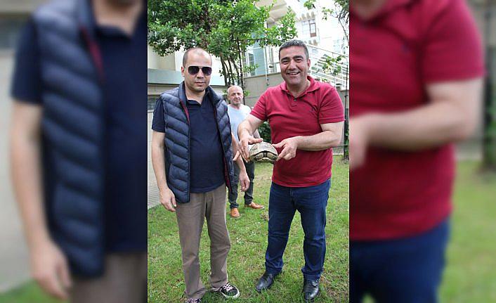 Öğrencilerin bulduğu kaplumbağa koruma altına alındı