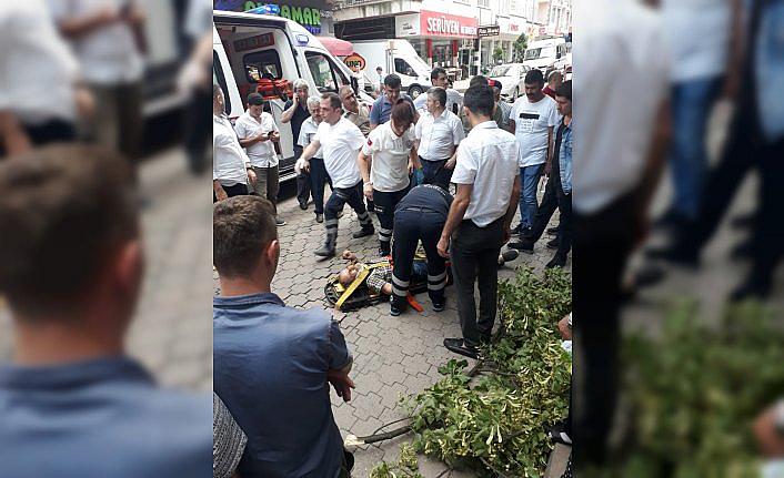 Ordu'da ağaçtan düşen kişi yaralandı
