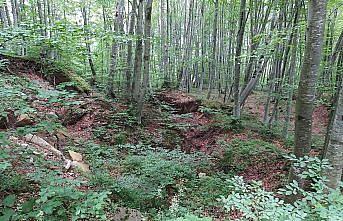 Ordu'da heyelan riski nedeniyle 69 hane boşaltıldı