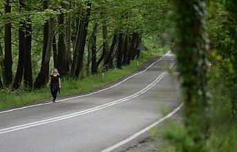 Safranbolu'nun ağaç tünelli yolları görenleri büyülüyor