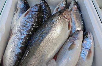 Su ürünleri ihracatında artış