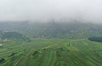 Adrenalin tutkunlarının gözdesi: Şahinkaya