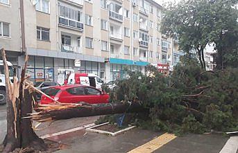 Amasya'da kuvvetli rüzgar etkili oldu