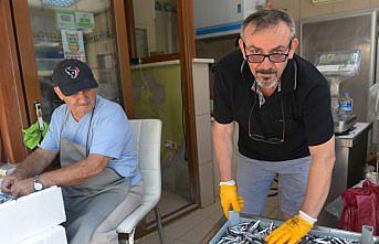 Balıkçılarda temmuzda hamsi şaşkınlığı