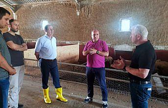 Bayburt Üniversitesinden organik yem katkı maddesi projesi