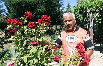 Çöplüğü 22 yıllık emekle botanik bahçesine çevirdiler