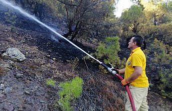 Çorum'da orman yangını