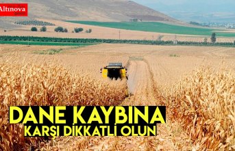 DANE KAYBINA KARŞI DİKKATLİ OLUN