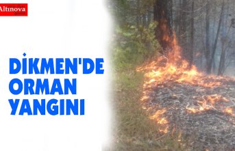 DİKMEN'DE ORMAN YANGINI