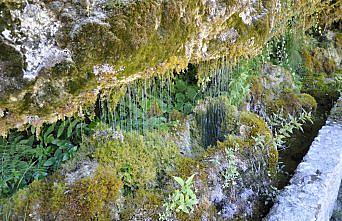 Dünya Miras kentinde alternatif turizm 