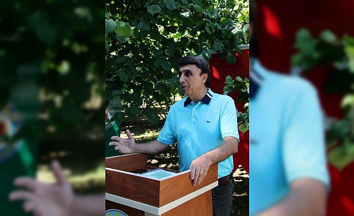 Fındık bahçesinde bentonit başarısı