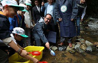 Fırtına Deresi'ne 7 yılda 1,5 milyon balık bırakıldı