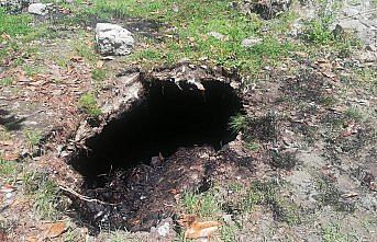 Fuel-oil dolu kuyudan kediyi kurtardı