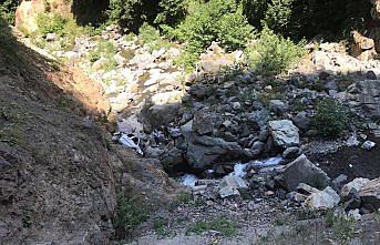 Gümüşhane'de hafif ticari araç dereye yuvarlandı: 1 ölü