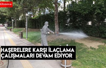HAŞERELERE KARŞI İLAÇLAMA ÇALIŞMALARI DEVAM EDİYOR