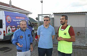 Hayvanseverler, sokak hayvanları için pedal çevirdi