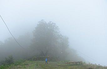 Karınca Kalesi turizme kazandırılacak