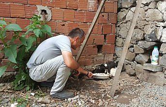 Köpek yavrusunu dereye atan kişiye 