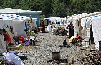 Mevsimlik tarım işçileri fındık hasadından umutlu