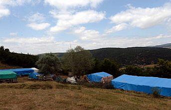 Minik Evrim'den 1 yıldır haber yok