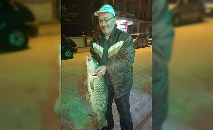 Oltayla 12 kilogramlık pullu sazan yakaladı