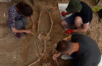 Sinop'ta arkeologları şaşırtan iskelet