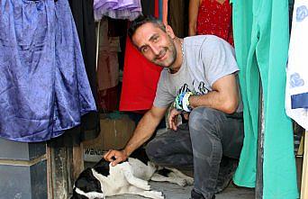 Sokak hayvanları için yollarda