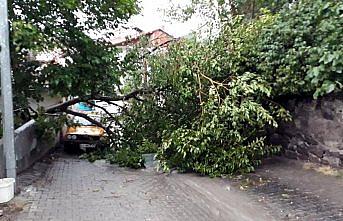Tokat'ta kuvvetli rüzgar etkili oldu