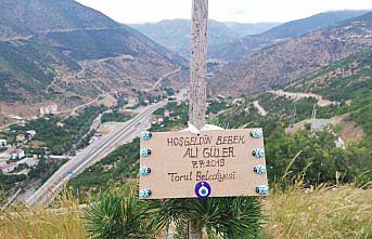 Torul'da her doğan çocuk için bir fidan dikilyor