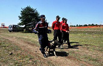 30. Geleneksel Atatürk ve İstiklal Kupası At Yarışları