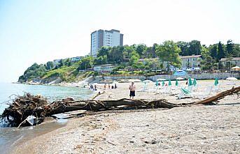 Akçakoca'da selde denize sürüklenen ağaç parçaları temizleniyor