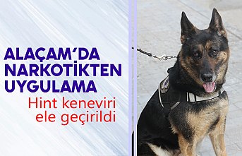 ALAÇAM'DA HİNT KENEVİRİ OPERASYONU