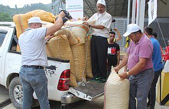 Giresun'da serbest piyasada fındık sezona 16,50 liradan başladı