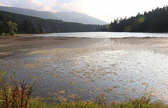 Gölcük Tabiat Parkı'nda temizlik
